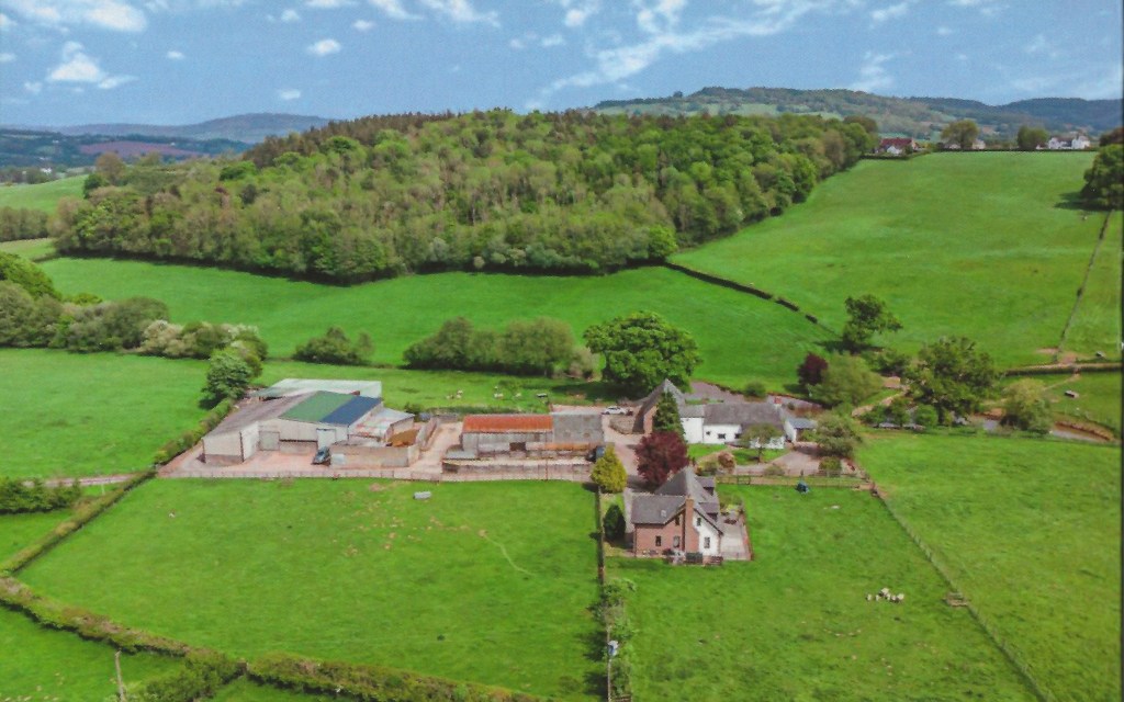 Currently we have three self catering holiday cottages. The accommodation varies from a two bedroom converted barn - Mallards Barn, a one bedroom converted stable - Oaklands Cottage and The Cygnet Studio, a bijoux self catering ground floor double bedroom studio